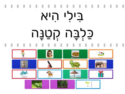 משפטים קמץ חיריק