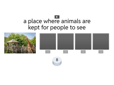 Vocabulary Quiz for Ages 6-8