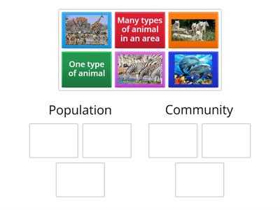 Population vs Community