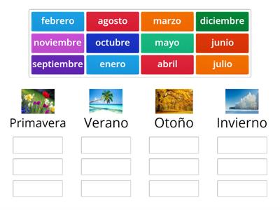 Estaciones y meses del año - 1º Primaria