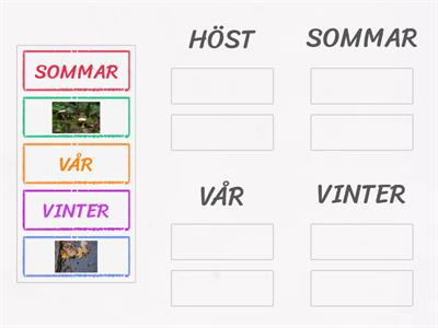 Sorteringsövning årstider