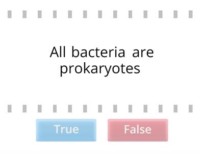 Bacteria, Protists and Fungi