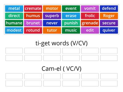 Ti-ger or Cam-el Syllable Word Sort