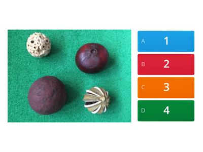 Counting/subitising/number recognition to 5. What do you see? How many? Select the correct number.