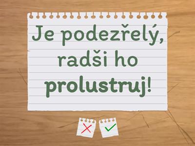 Slovní zásoba - procvičování