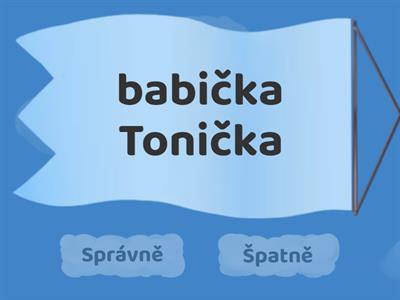 Velká písmena_správně x špatně