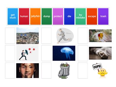 Cambridge primary path