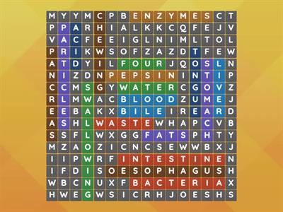 digestive system wordsearch