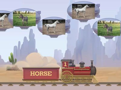 HW9 Maxi Farm animals IE1 U6