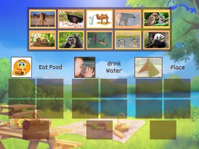 W9 It needs water and food 