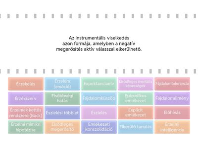 Pszichológia Feladatok 2