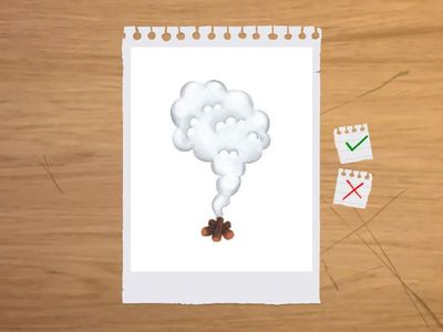 G2 Oxford Phonics 4 U3 sm sn sp sw st