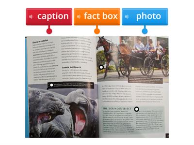 Label Informational Text #2