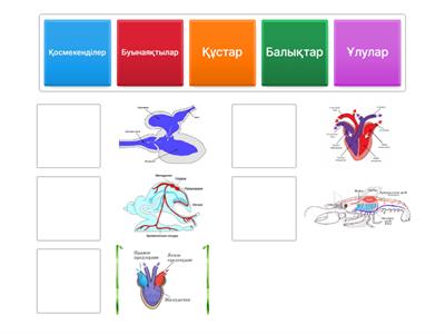 Желідегі сексуалды кискалардың суреттері