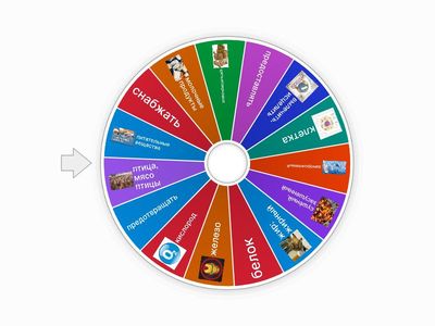 Lesson 2. You are what you eat (2)