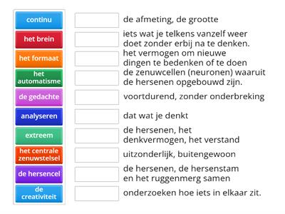 STAAL groep 7 Hersenen 1a