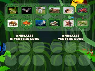 CLASIFICA A LOS ANIMALES 