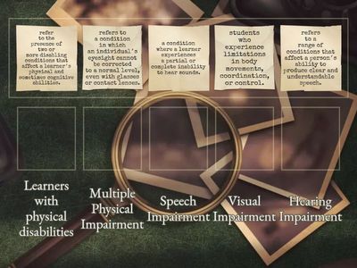 LESSON 3- LEARNERS WITH PHYSICAL DISABILITIES