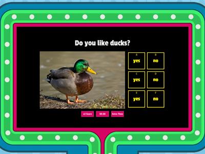 quiz for kids