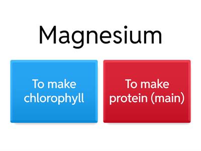 Minerals and Plant Growth:Magnesium,Nitrate