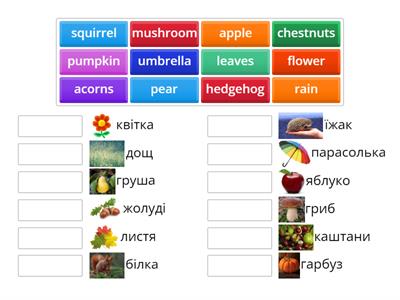 Autumn Vocabulary