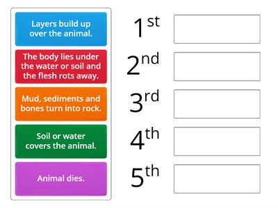 How are fossils formed?