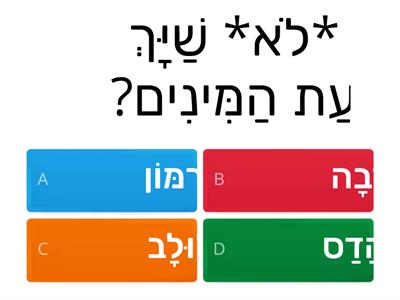  סוכות חידון 