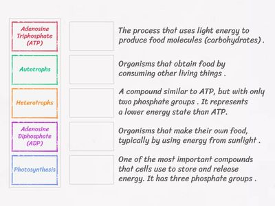 G9-Biology - ch.9 Definitions 