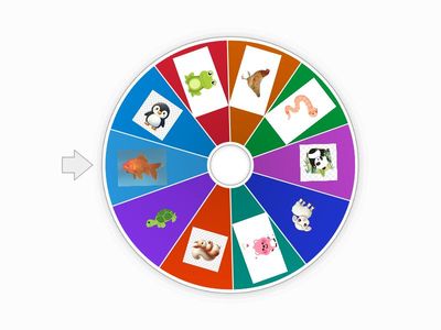 vòng quay kì diệu |(spin wheel of magical)