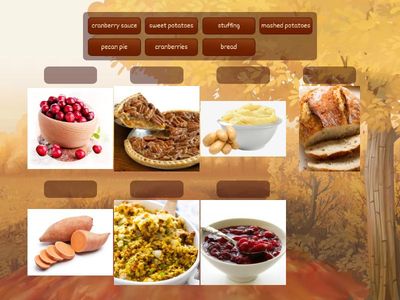 Thanksgiving Food Vocabulary 