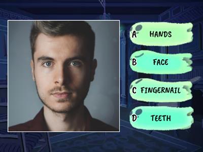 Quiz All - Flashcards