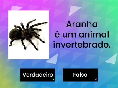 Animais invertebrados