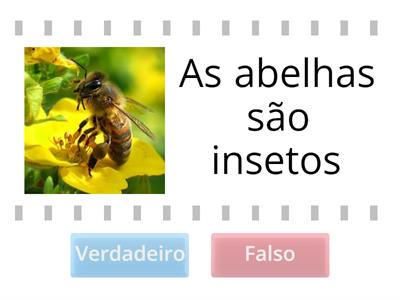 As abelhas