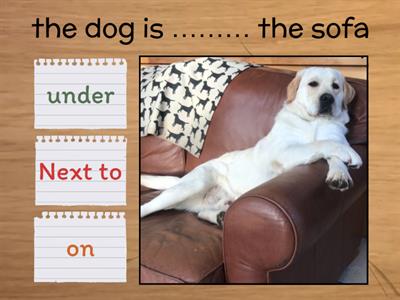 form, meaning and function