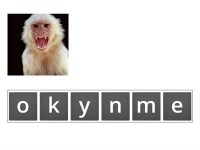 Animals anagram (easy)