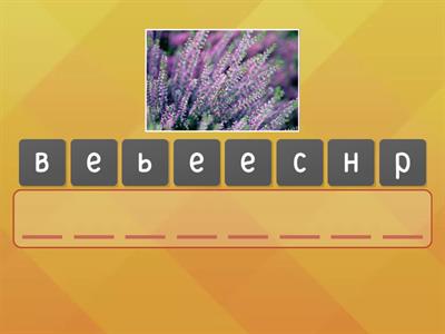 &#x423;&#x41C;&#x406;. &#x422;&#x435;&#x43C;&#x430;: &#x41C;&#x456;&#x441;&#x44F;&#x446;&#x456;