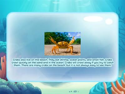 Ocean Recalling Details