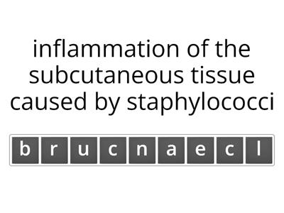 Cosmetology Chapter 11 - Vocab 4