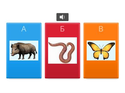 Дидактична гра "Бігає, літає, повзає, стрибає". Старший дошкільний вік 