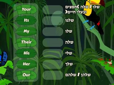Possessive Adjectives translation only- Match Up