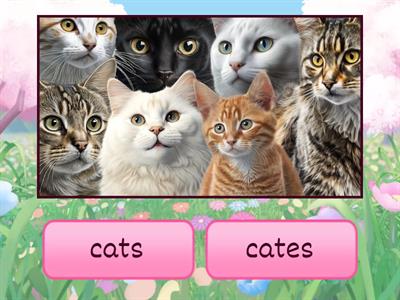  Plural of the nouns