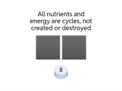 Nutrient cycles