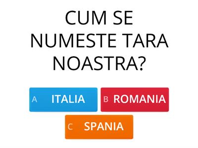 Ziua Romaniei - Grupa mare