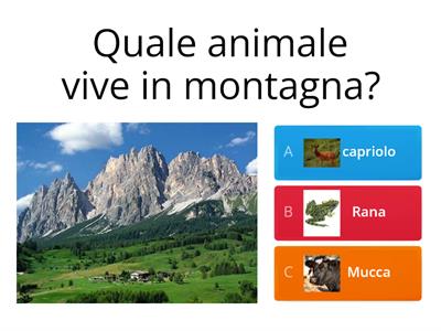 La Fauna e la flora della montagna