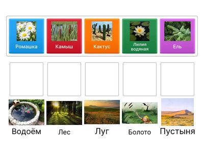 Найди, где живёт растение