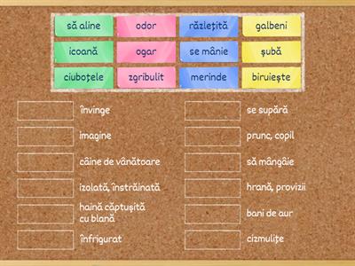  Vocabular