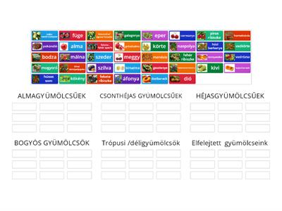 Gyümölcsök csoportosítása felnőttképzés