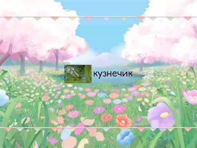 Насекомые и другие маленькие животные