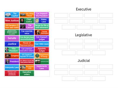 Separation of Powers (U.S. Branches of Government) 