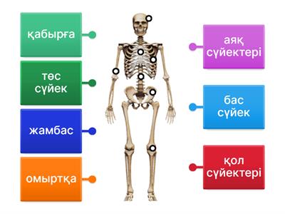 Жаратылыстану 4